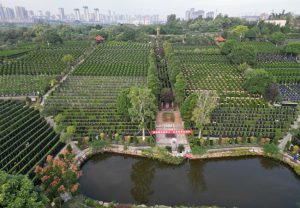 成都海葬仪式参加需要准备些什么？